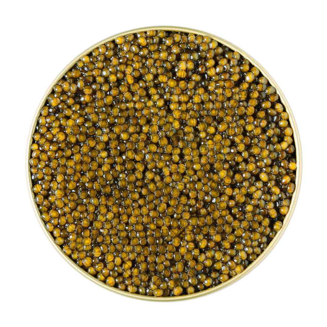 Regiis Ova Golden Kaluga Hybrid Caviar