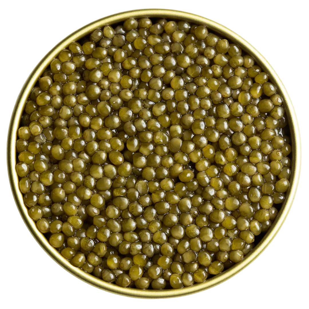 9-regiis-ova-golden-ossetra-caviar-1.webp