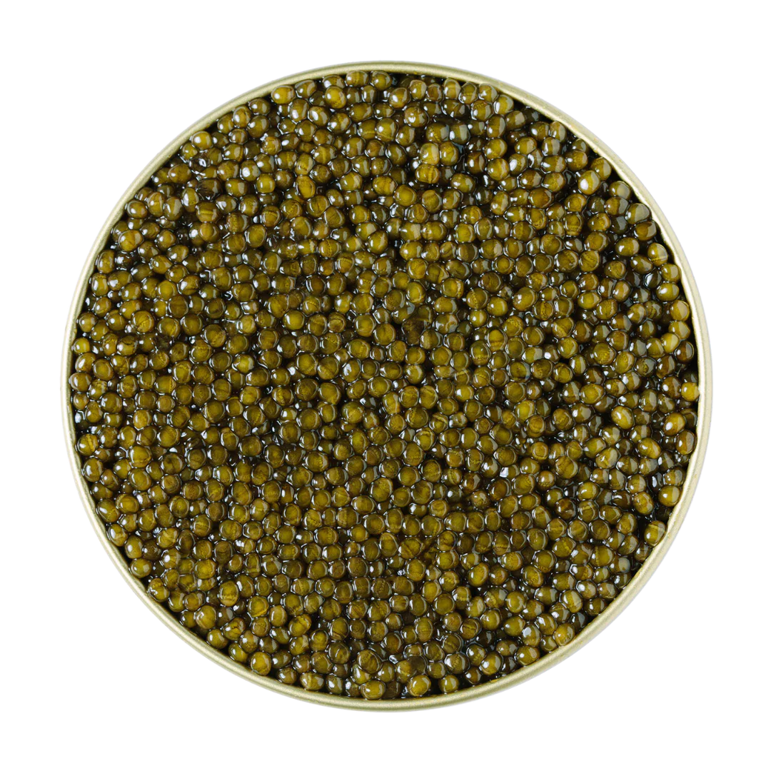 Regiis Ova Ossetra Caviar
